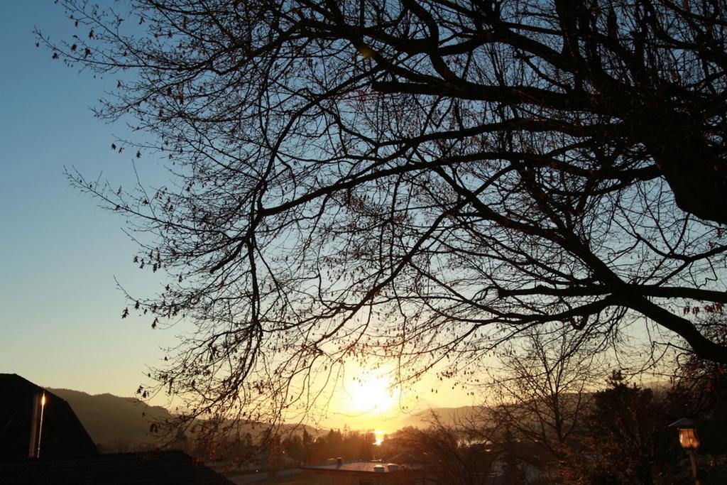 Ferienwohnungen Fiala-Koefer Pörtschach am Wörthersee Exterior foto