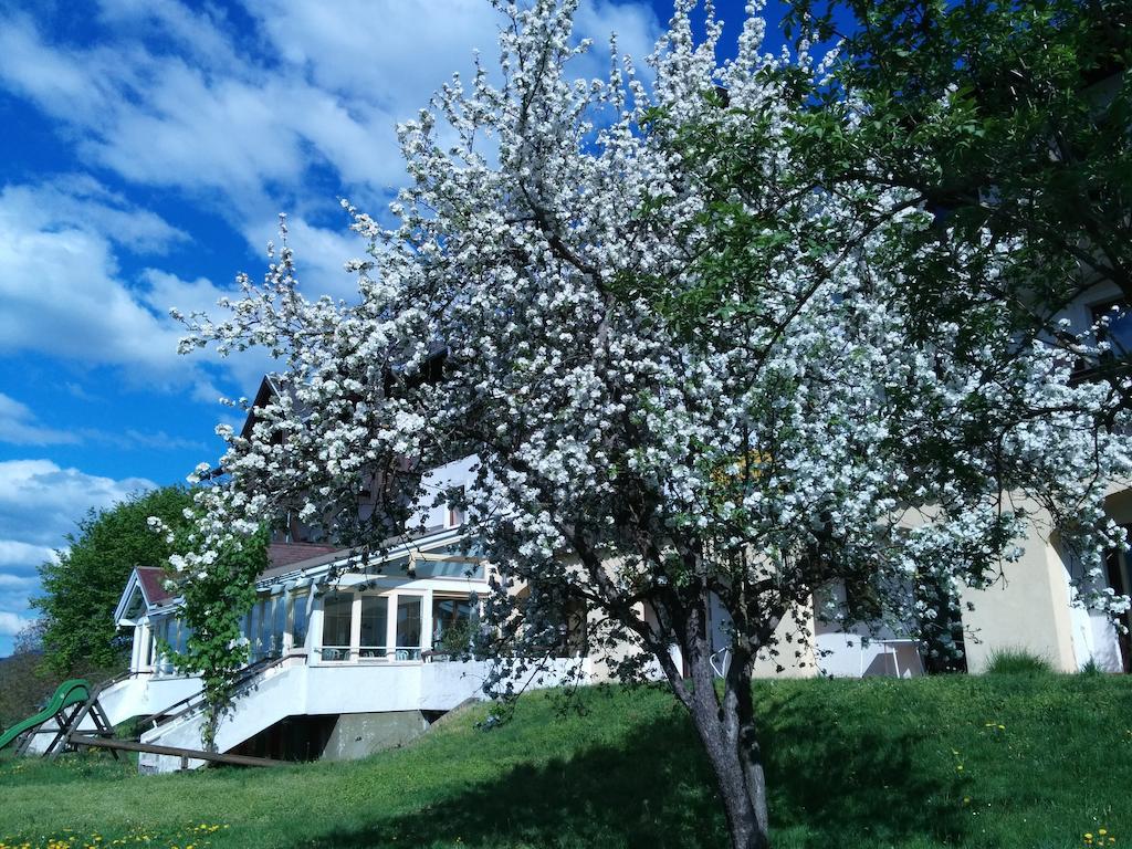 Ferienwohnungen Fiala-Koefer Pörtschach am Wörthersee Exterior foto